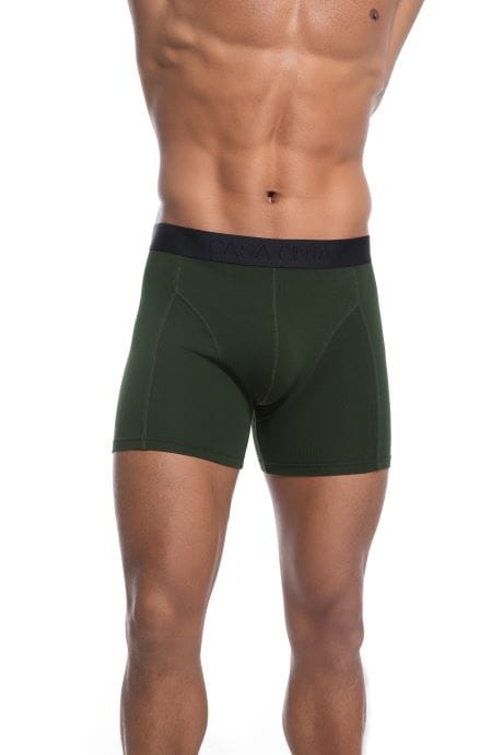 Bamboo Trunks