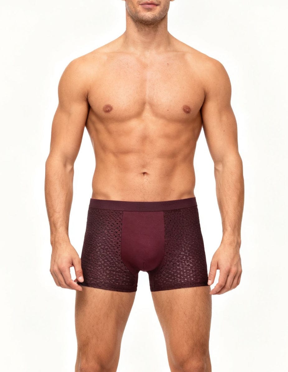 CASA CINTA BOXER 2.0